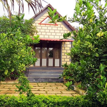Wild Wadi Cottages Malanka Esterno foto